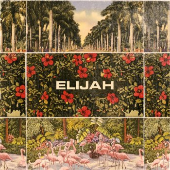 Elijah Paradise