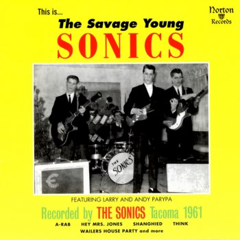 The Sonics In the Open