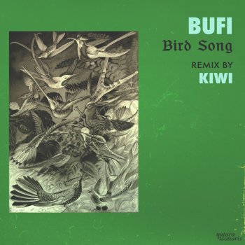 Bufi Bird Song - Original Mix