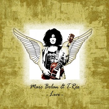 Marc Bolan feat. T. Rex Ride A White Swan