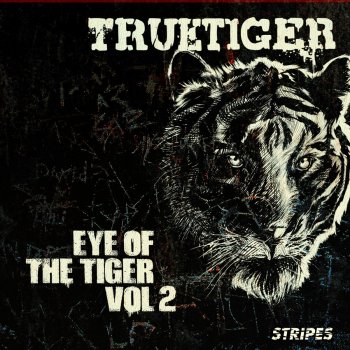 True Tiger Top of the Chain (Instrumental Mix)