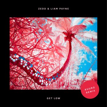 Zedd feat. Liam Payne Get Low (KUURO Remix)