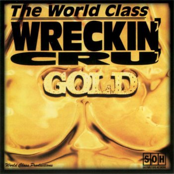 World Class Wreckin' Cru Turn off the Lights (Vocal)