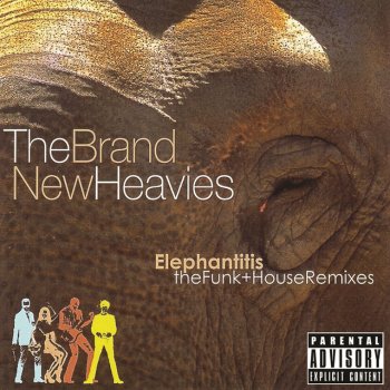 The Brand New Heavies Never Stop - Extended Remix