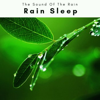 The Sound Of The Rain Rain Drops Noises for Sweet Sleep