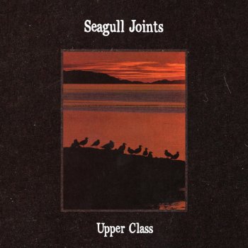 upper class seagull joint