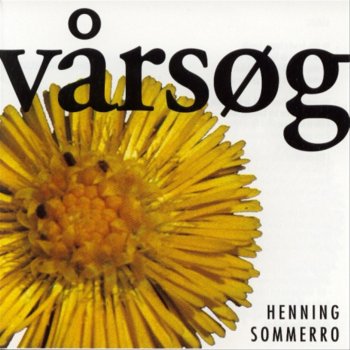 Henning Sommerro Vårsøg