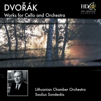Lithuanian Chamber Orchestra feat. Saulius Sondeckis Cello Concerto in B Minor, Op. 104: III. Finale, Allegro moderato