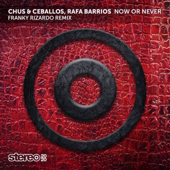 Chus & Ceballos Now or Never (feat. Cari Golden) [Franky Rizardo Remix]