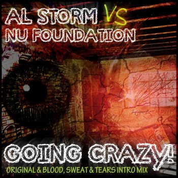 Al Storm feat. Nu Foundation Going Crazy (Blood, Sweat & Tears Intro Mix)