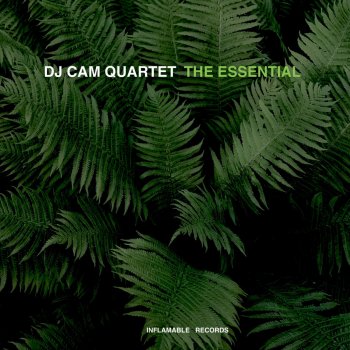 DJ Cam Quartet Cantaloop Island