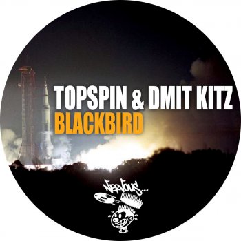 Topspin feat. Dmit Kitz Blackbird