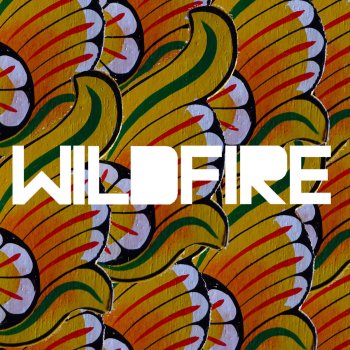 SBTRKT Wildfire (OVO Remix feat. Drake)