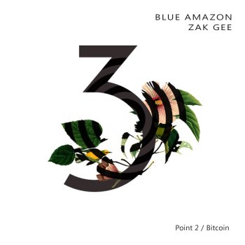 Blue Amazon feat. Zek Gee 3 - Point 2