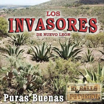 Los Invasores De Nuevo León feat. El Gallo Potosino Con Olor a Hierba