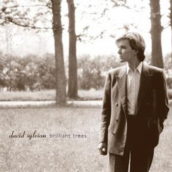 David Sylvian The Ink In the Well