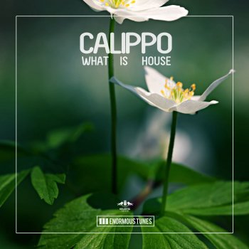 Calippo What Is House (Club Mix)