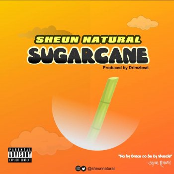 Sheun Natural Sugarcane