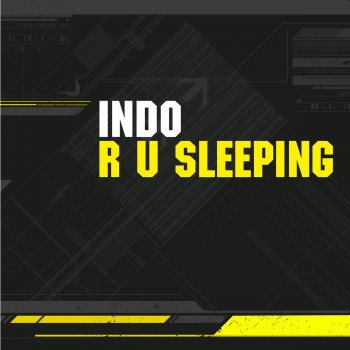 Indo R U Sleeping (Original Chicago Mix)