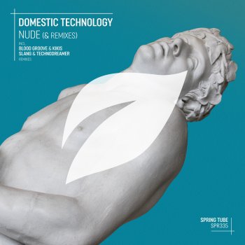 Domestic Technology Nude (Blood Groove & Kikis Remix)