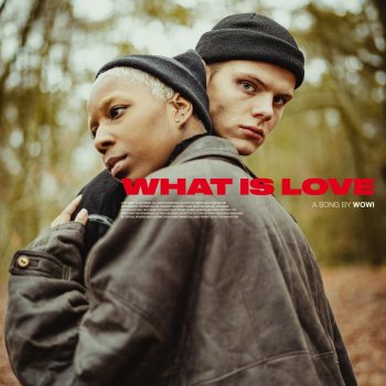 Wowi What Is Love