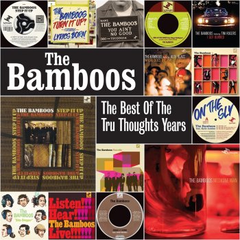 The Bamboos feat. Ty Can't Help Myself (feat. TY)