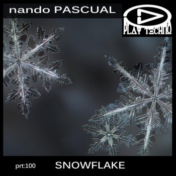Nando Pascual Snowflake