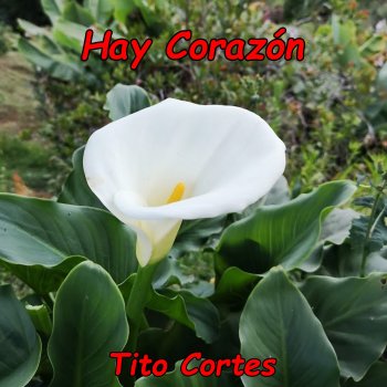 Tito Cortes Hay Corazón