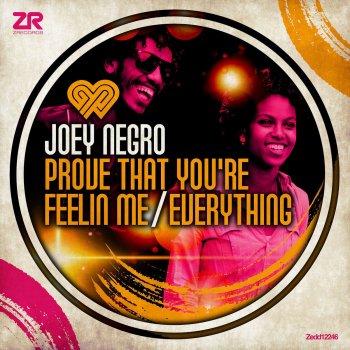 Joey Negro feat. Diane Charlemagne Prove That You're Feeling Me (Joey Negro Club Mix)