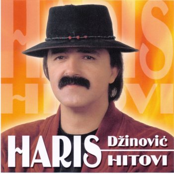 Haris Džinović Sjecas Li Se One Noci (Disko mix)
