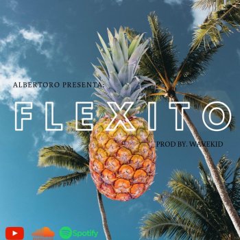 Albert0ro Flexito'