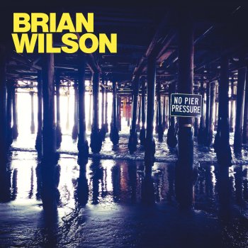 Brian Wilson feat. Nate Ruess Saturday Night