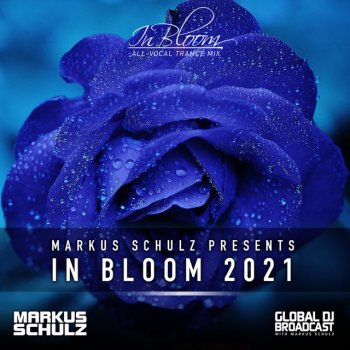 Markus Schulz feat. SINGA & D72 Turn Me Down (In Bloom 2021) - D72 Remix