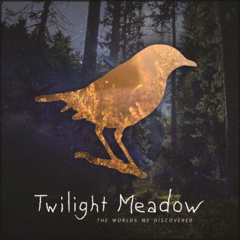 Matthew Parker feat. Twilight Meadow The Worlds We Discovered - Matthew Parker Remix