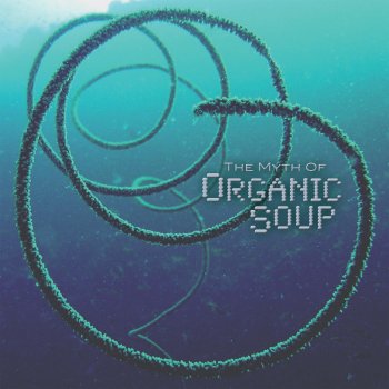 Organic Soup Crazy 8