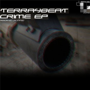 Datamatrix feat. Terra4Beat Crime - Datamatrix Remix