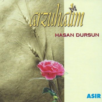 Hasan Dursun Şah-ı Resul