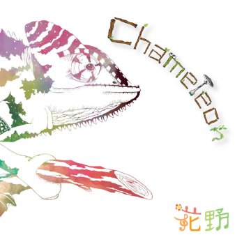 Kano Chameleon