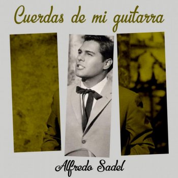 Alfredo Sadel feat. Don Ulises Acosta & Conjuncto de Vicente Flores y sus Llaneros Borracho me gritan