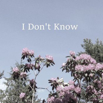Alice Fors I Don’t Know (Acoustic Version)