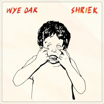 Wye Oak Shriek (DJ Daylight Remix)