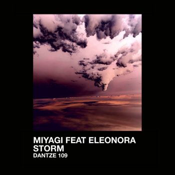 Miyagi Storm (feat. Eleonora) [Felix Raphael Remix]