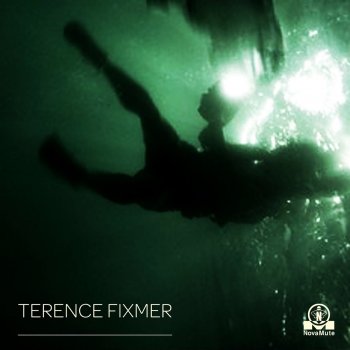 Terence Fixmer The Swarm