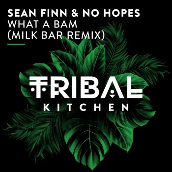 Sean Finn What a Bam (Milk Bar Remix)