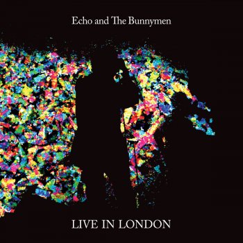 Echo & The Bunnymen Lovers on the Run (Live)