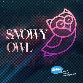 Snowy Owl Owl Of Snow - Radio Edit