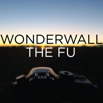 The Fu Wonderwall