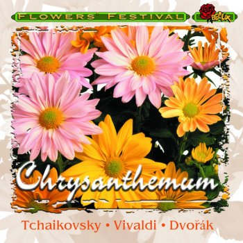 Lithuanian Chamber Orchestra Violin Concerto No.4 In D Major (Cadenza By Fritz Kreisler) K. 218
