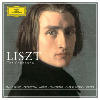 Franz Liszt Kling leise, mein Lied S.301