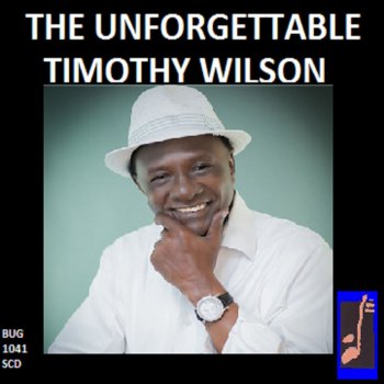 Timothy Wilson Let's Hide Away (Radio)